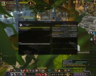 WoWScrnShot_080825_133140.jpg