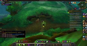 WoWScrnShot_051926_160705.jpg